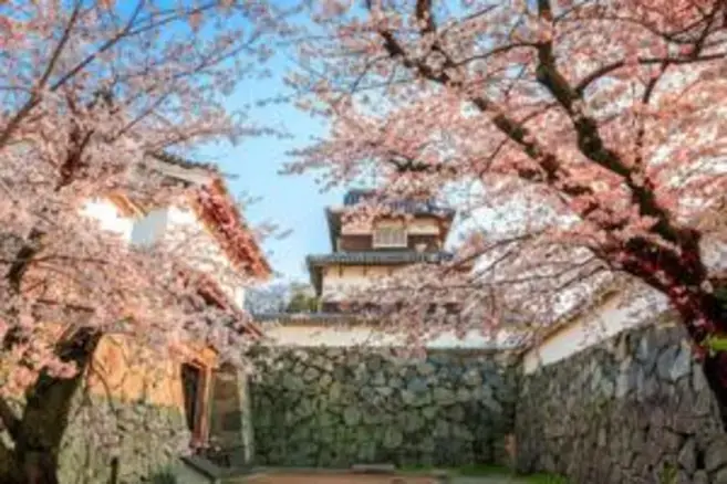 Inovasi Wisata Jepang Barat: Kerjasama Golden Route dan Airalo