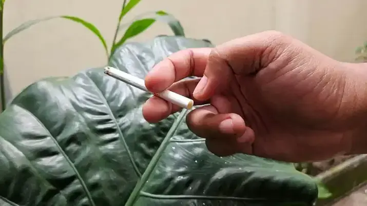 Trenggalek Galakkan Konseling Henti Rokok, Cegah Penyakit