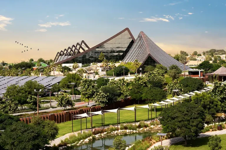 dubai safari park - ilustrasi berita Dubai Safari Park Siap Dibuka Kembali 12 Oktober dengan Pengalaman Baru dan Tur VIP
