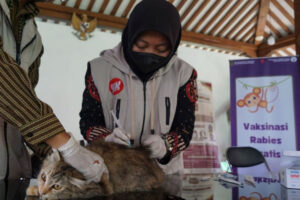 vaksin rabies gratis - ilustrasi berita Kota Yogyakarta Siapkan 3.000 Dosis Vaksin Rabies Gratis pada September 2026